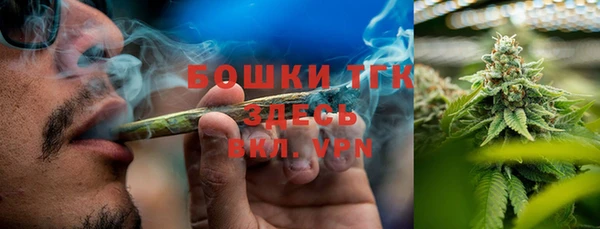 дмт Козловка