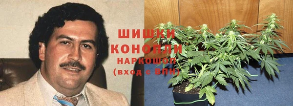 дмт Козловка